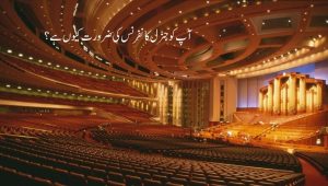 آپ کو جنرل کانفرنس کی ضرورت کیوں ہے؟